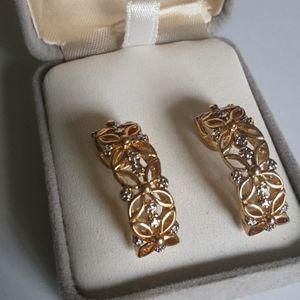 10ct gold earnings, on sell for a great price